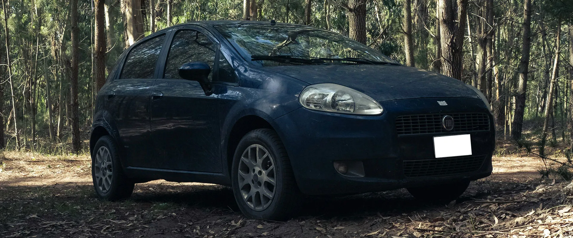 Fiat Repair and Services Near Roswell